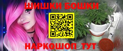 бошки Будённовск