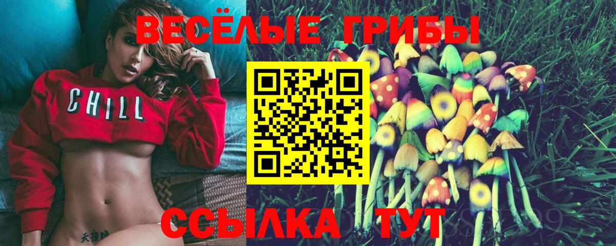 Галлюциногенные грибы мицелий  Вход с VPN  Кузнецк 
